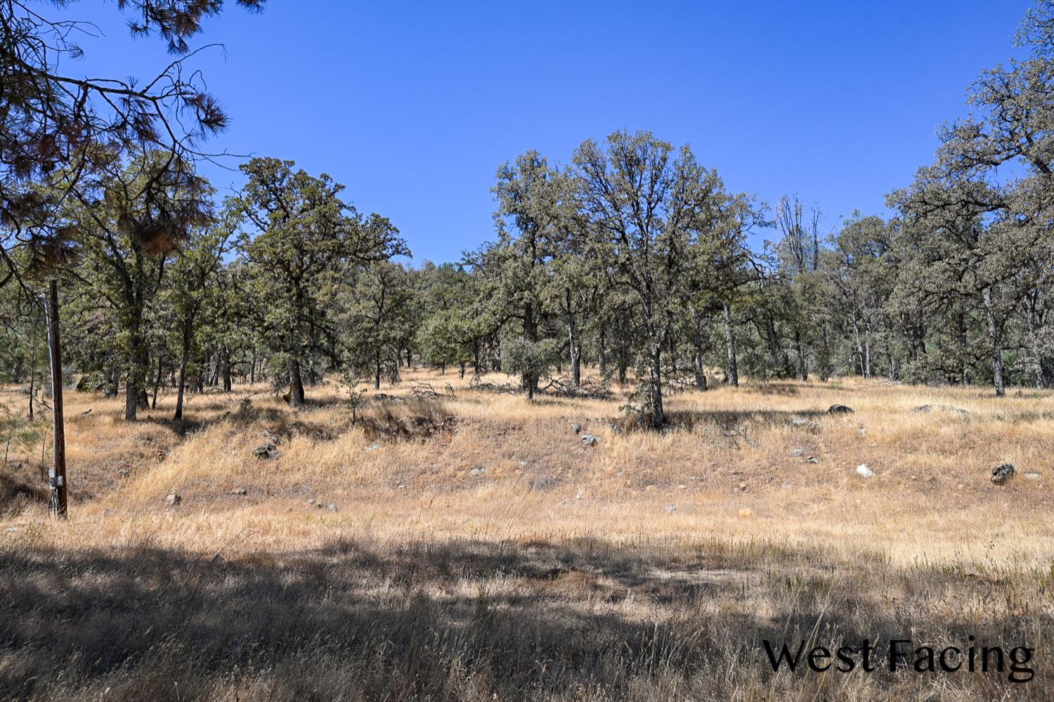 5799 Corey Pines Rd, Mariposa, CA 95338