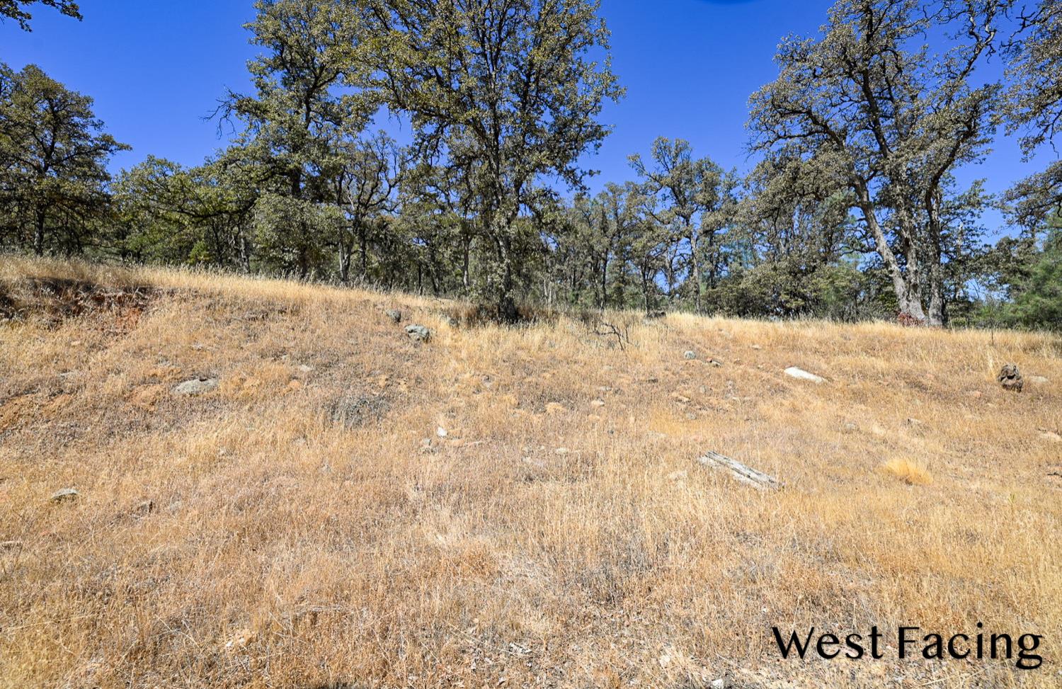 5799 Corey Pines Rd, Mariposa, CA 95338