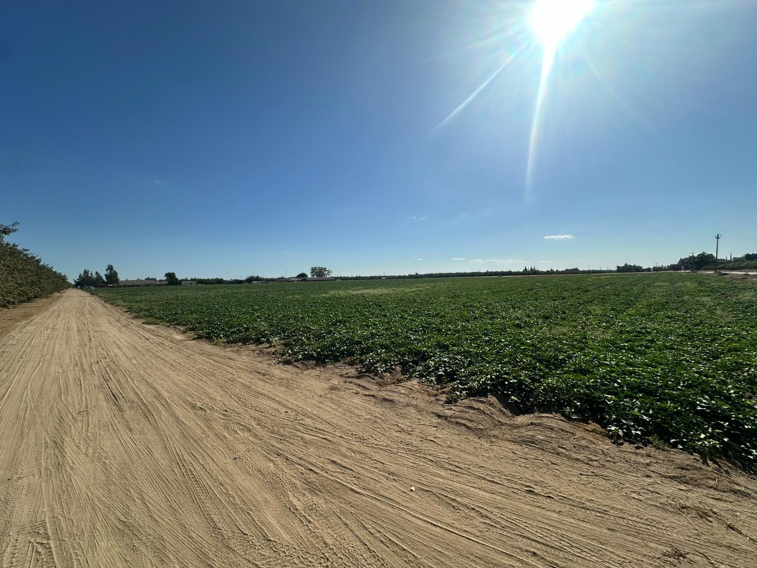 9895 Palm Ave, Winton, CA 95388