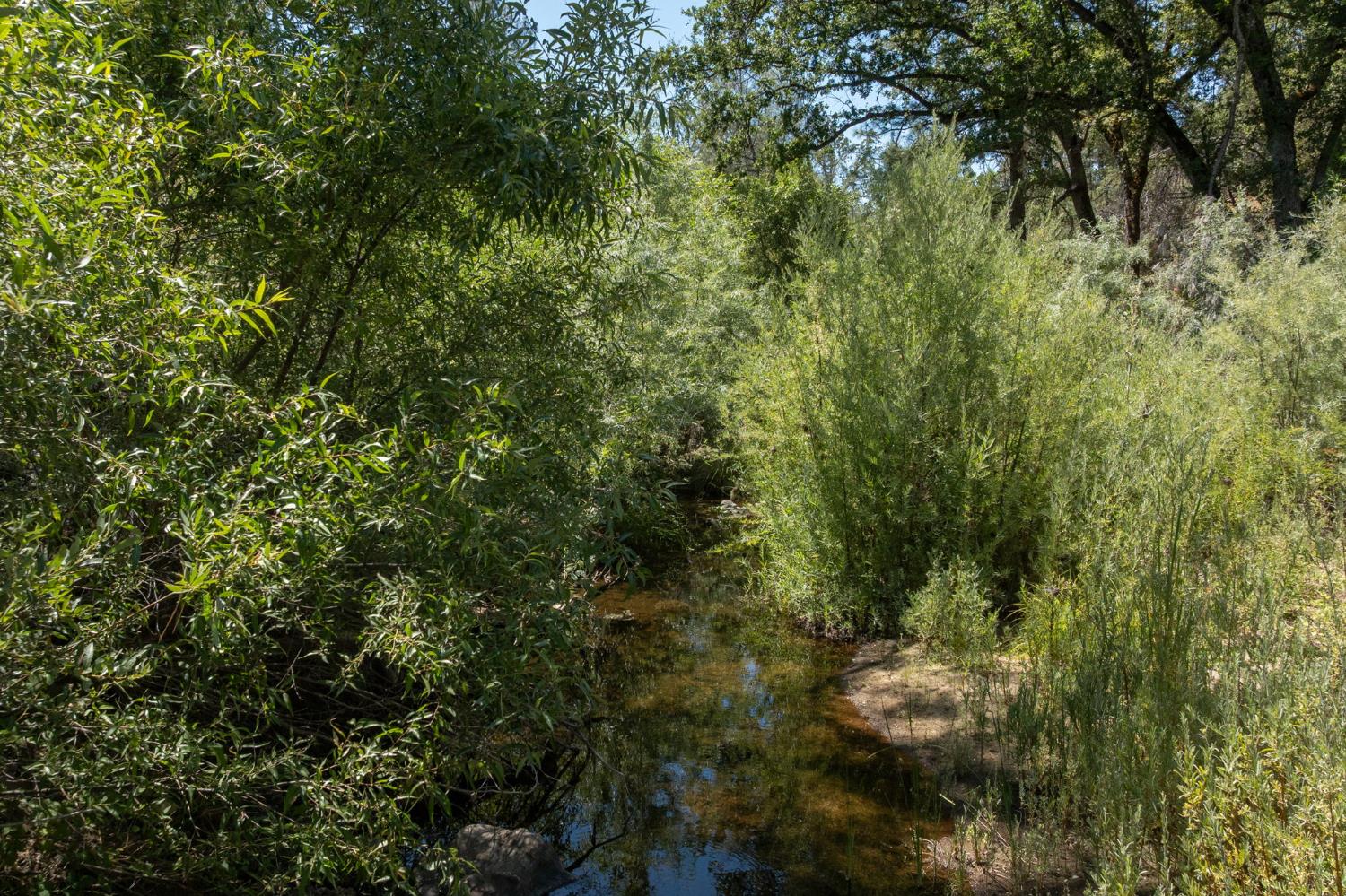 3981 Snow Creek Rd, Mariposa, CA 95338