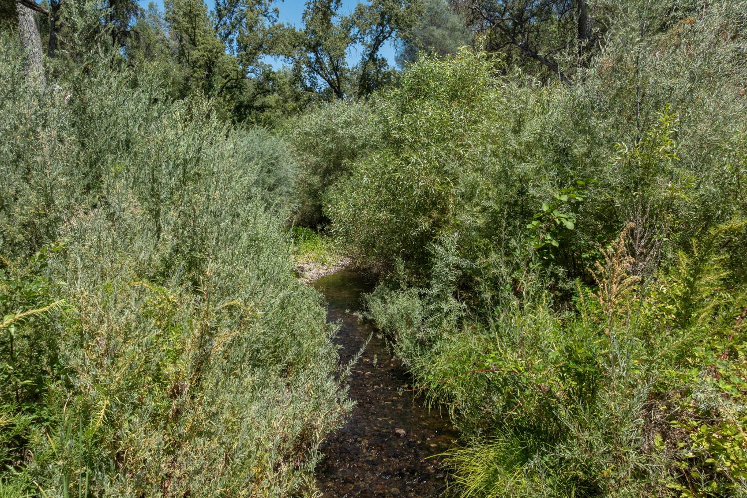 3981 Snow Creek Rd, Mariposa, CA 95338