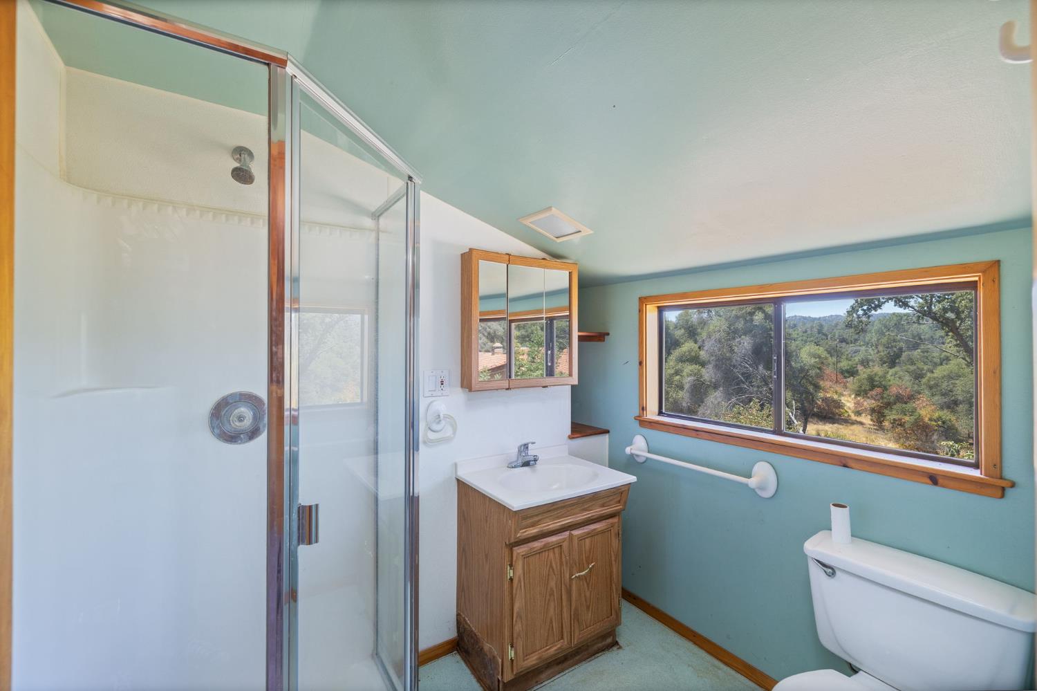 3981 Snow Creek Rd, Mariposa, CA 95338