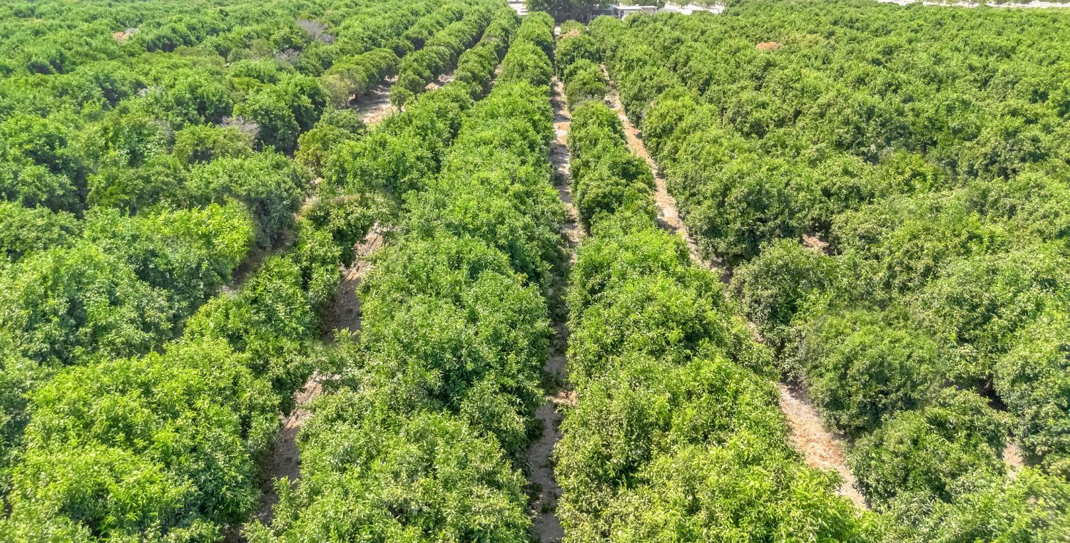 6658 S Peach Ave, Fresno, CA 93725