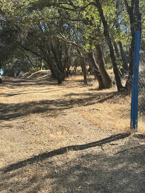 4619 Usona Rd, Mariposa, CA 95338