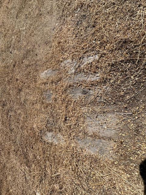 4619 Usona Rd, Mariposa, CA 95338