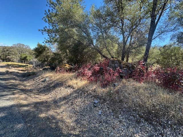 4619 Usona Rd, Mariposa, CA 95338