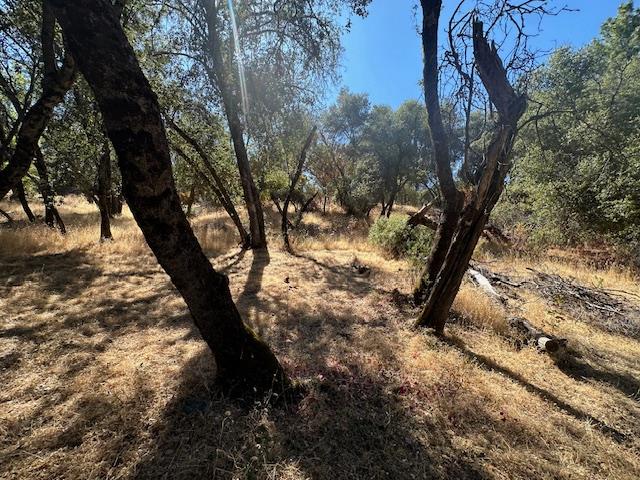 4619 Usona Rd, Mariposa, CA 95338