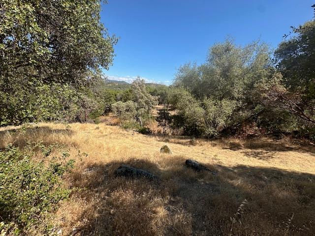 4619 Usona Rd, Mariposa, CA 95338