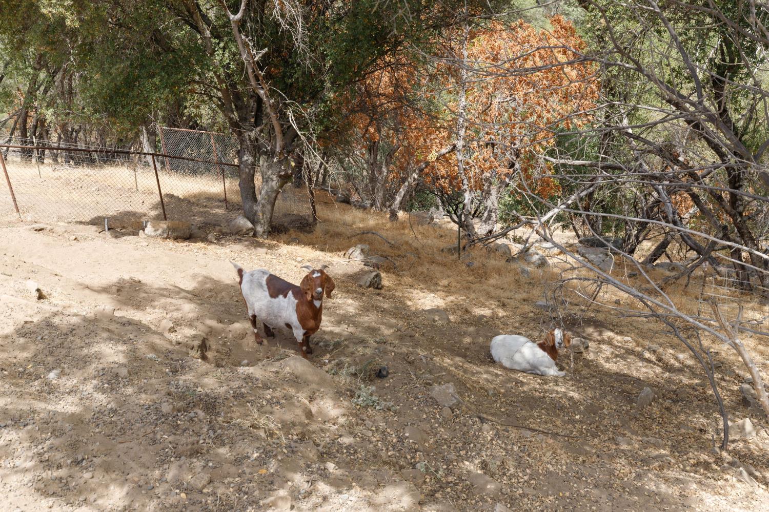 53777 Road 200, O neals, CA 93645