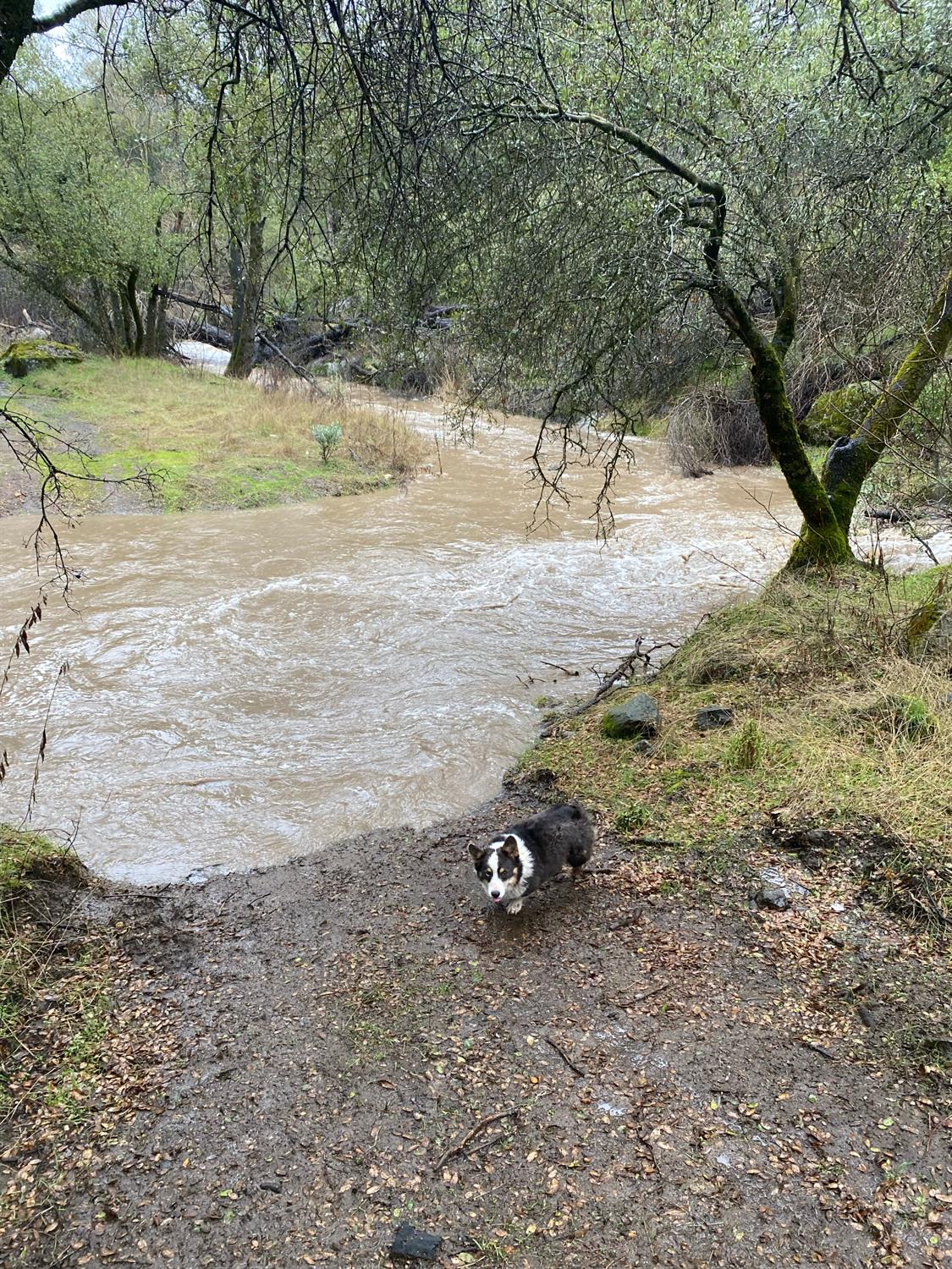 53777 Road 200, O neals, CA 93645