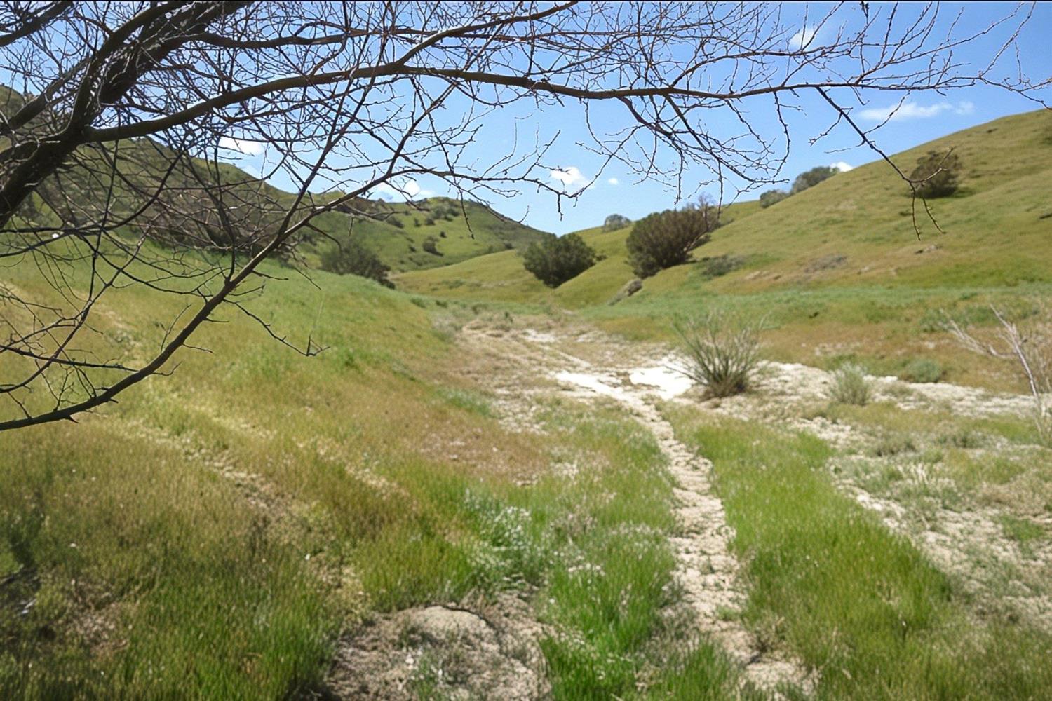 0 0 Hwy 198, Coalinga, CA 93210