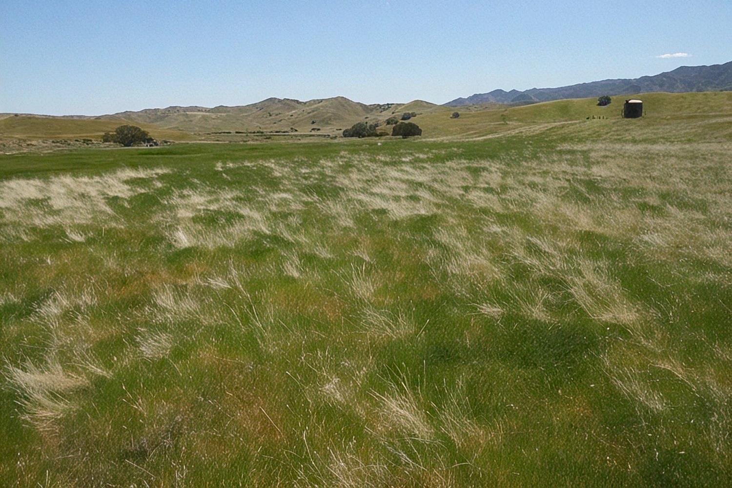 0 0 Hwy 198, Coalinga, CA 93210