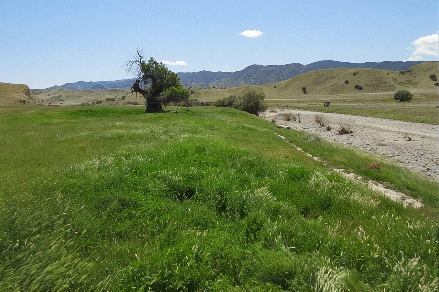 0 0 Hwy 198, Coalinga, CA 93210