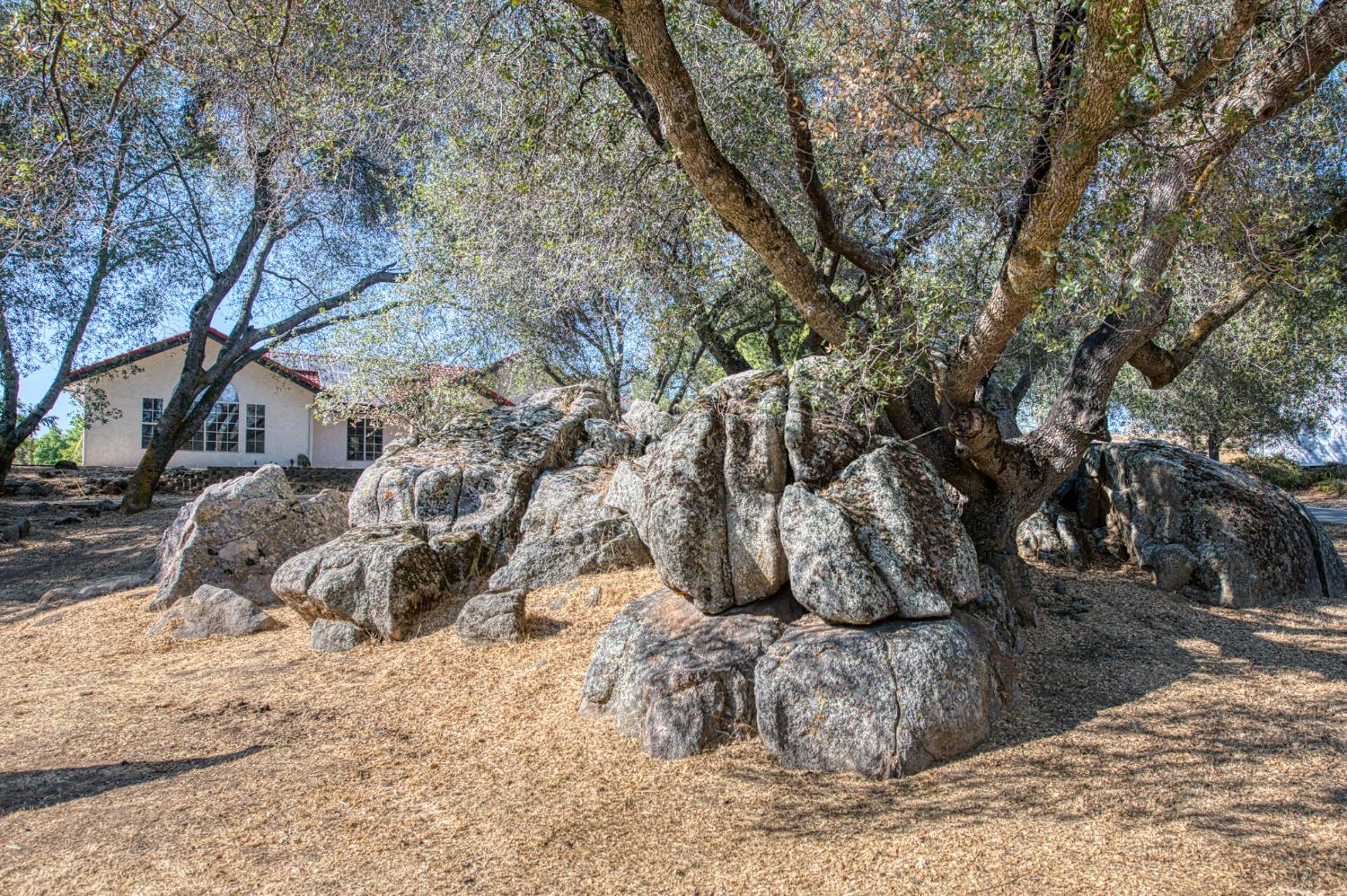 41981 Wild Horse Ct, Coarsegold, CA 93614