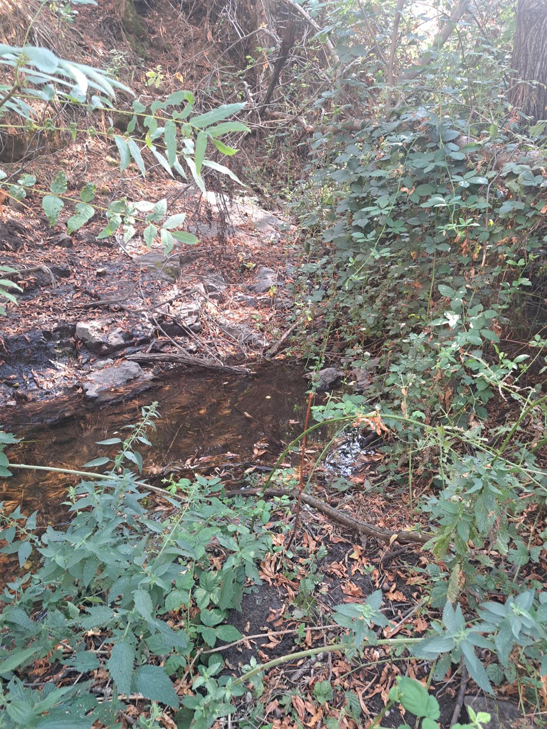 38168 Barberry Ln, Yokuts Valley, CA 93675