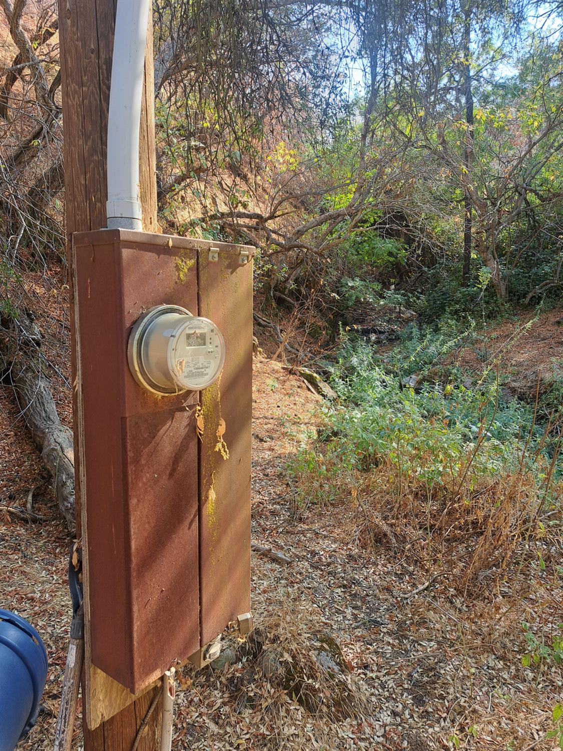 38168 Barberry Ln, Yokuts Valley, CA 93675