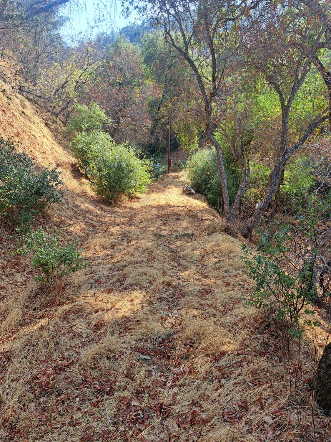 38168 Barberry Ln, Yokuts Valley, CA 93675