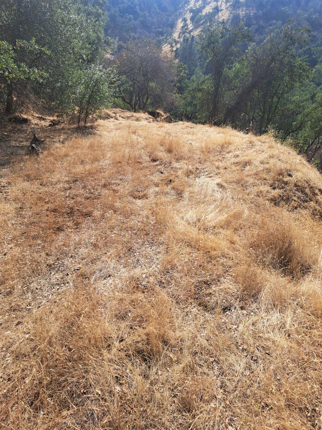 38168 Barberry Ln, Yokuts Valley, CA 93675