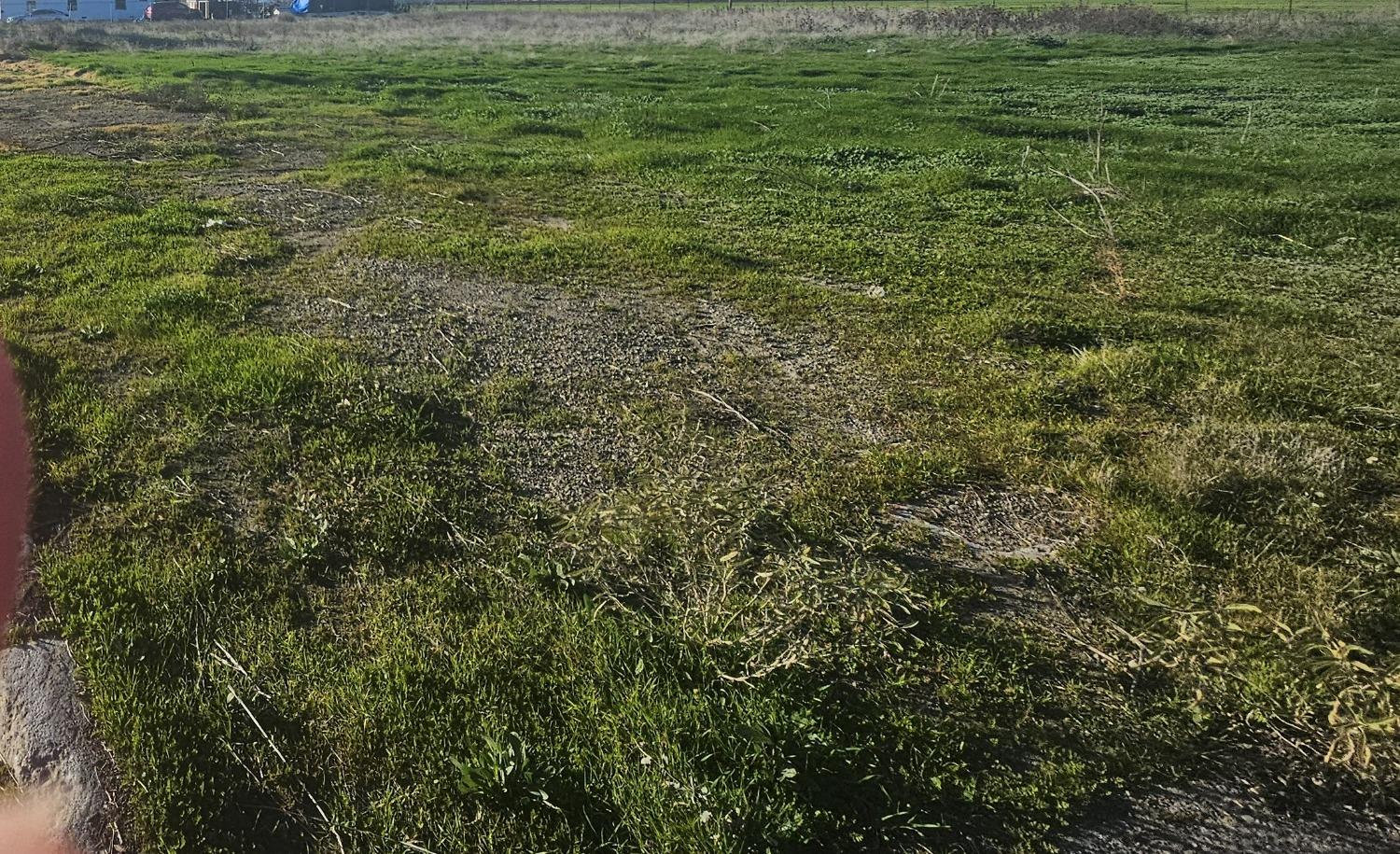 0 0 Blossom, Dos Palos, CA 93620