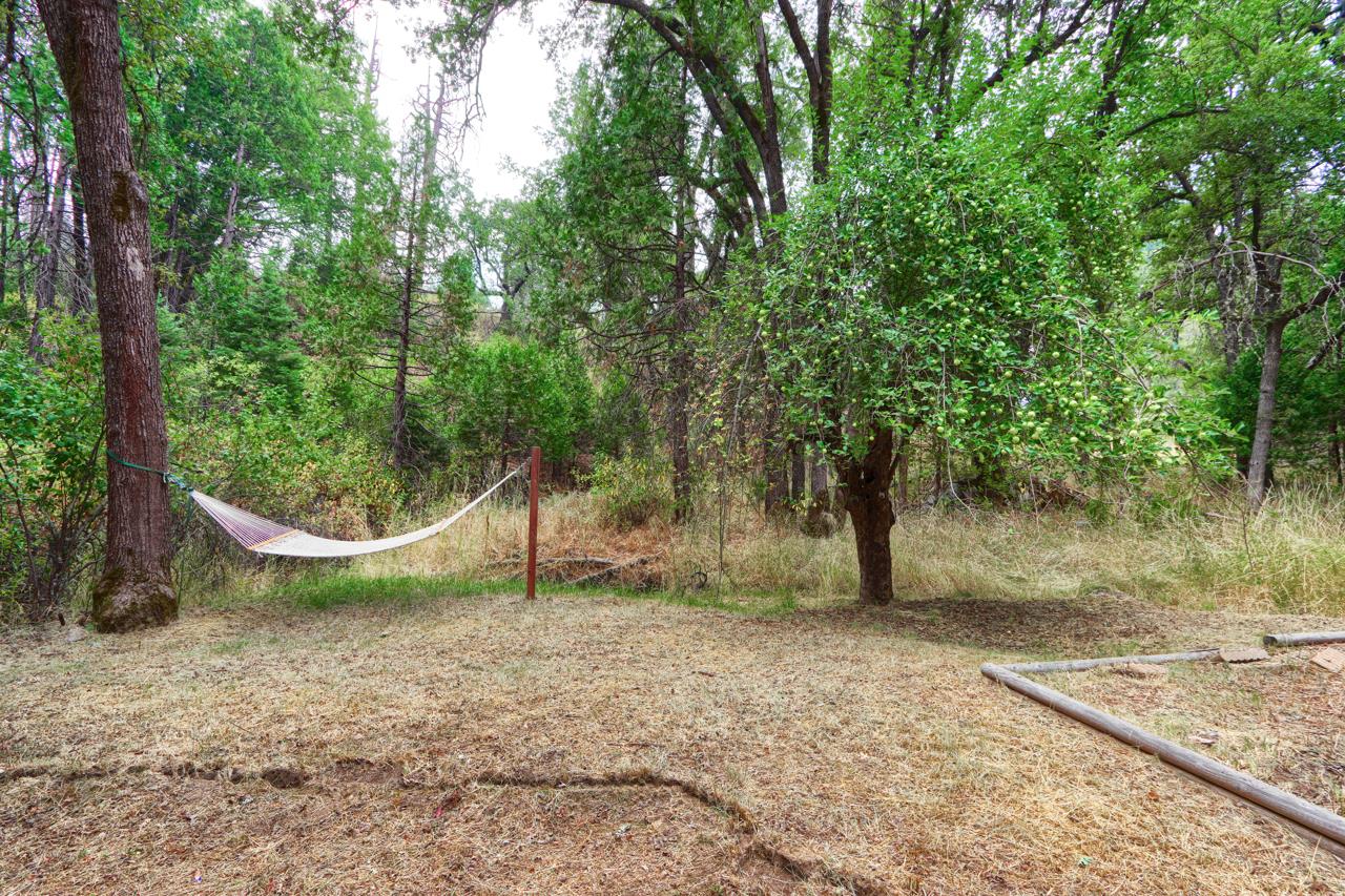 7115 Hites Cove Rd, Mariposa, CA 95338