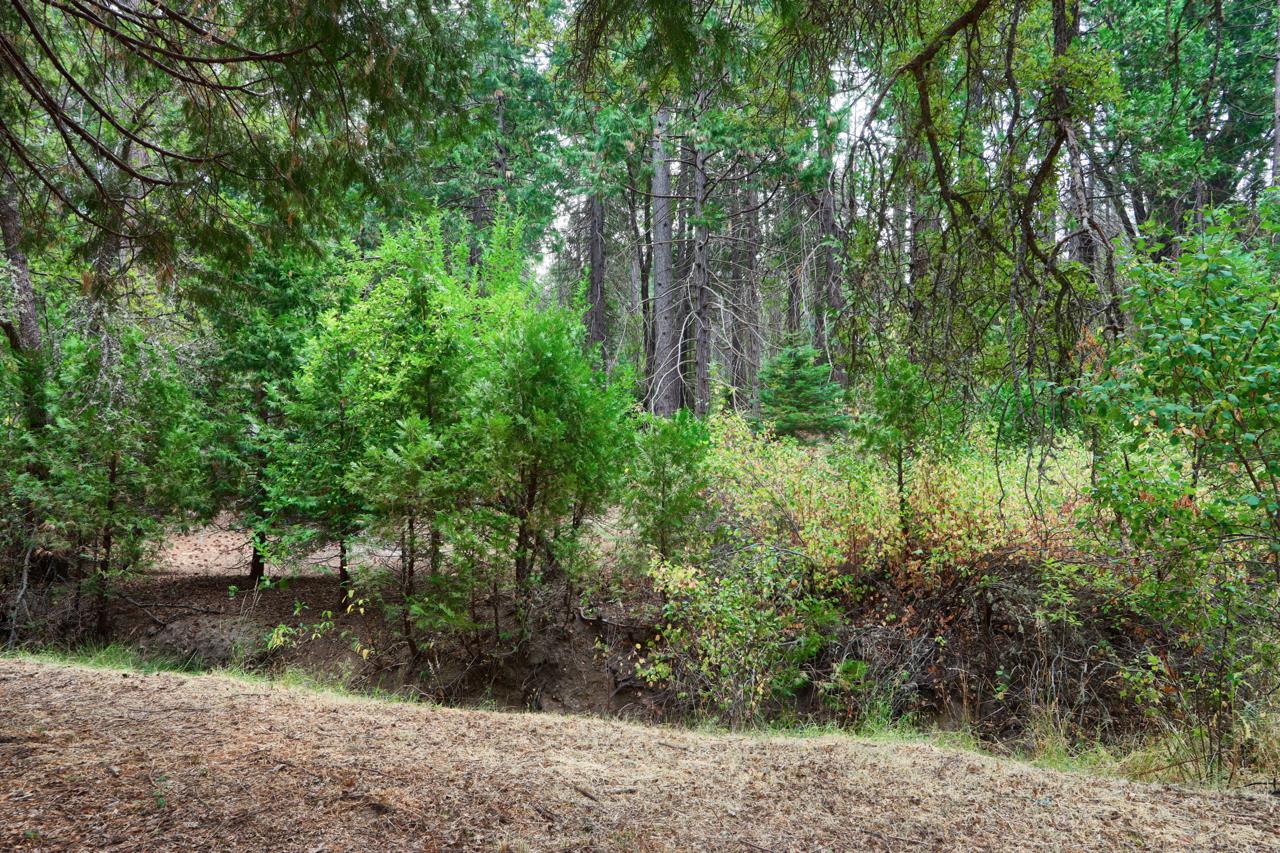 7115 Hites Cove Rd, Mariposa, CA 95338