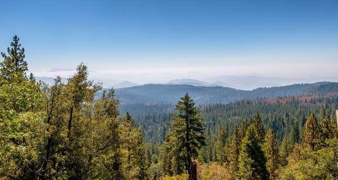 42629 Canyon Vista Ln, Shaver Lake, CA 93664