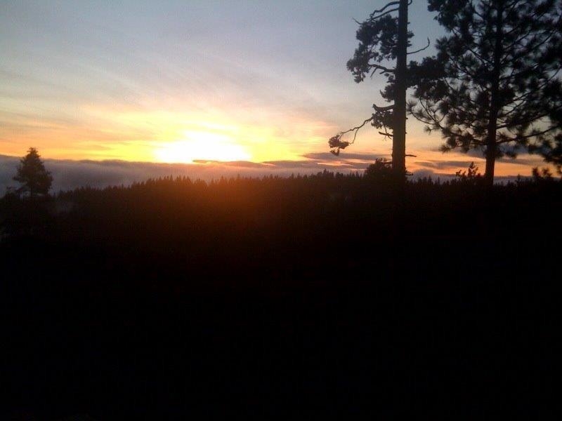 42629 Canyon Vista Ln, Shaver Lake, CA 93664