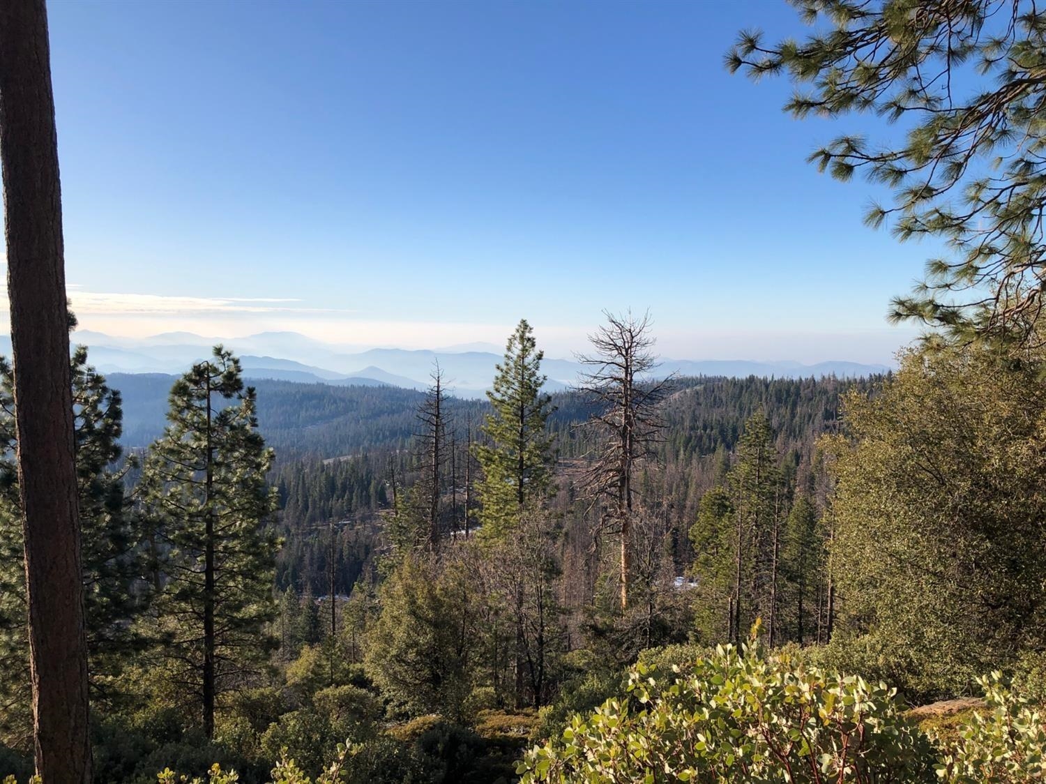 42629 Canyon Vista Ln, Shaver Lake, CA 93664