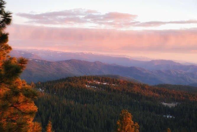 42629 Canyon Vista Ln, Shaver Lake, CA 93664