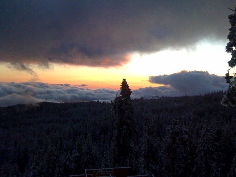 42629 Canyon Vista Ln, Shaver Lake, CA 93664