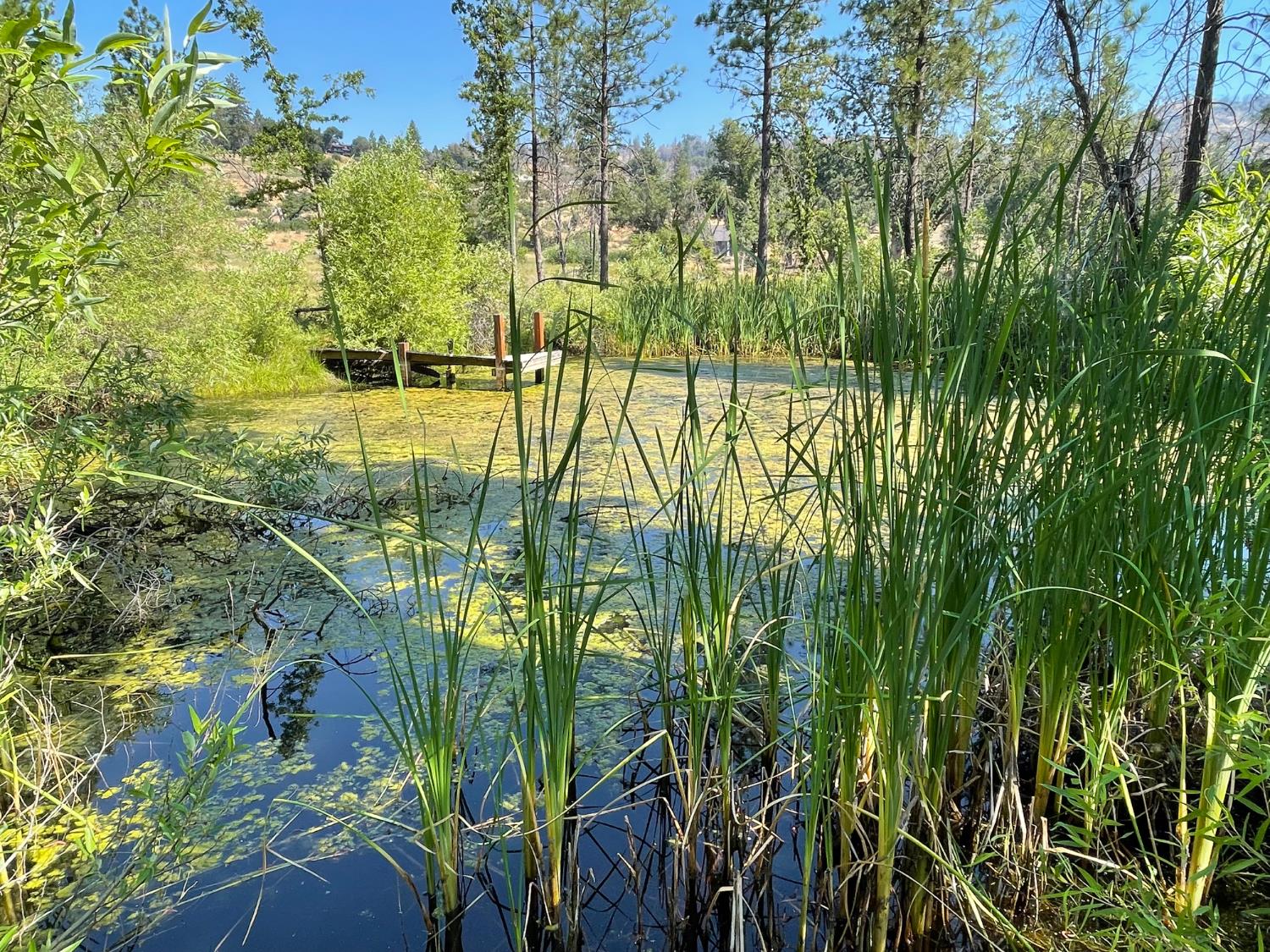 34344 Shaver Springs Rd, Auberry, CA 93602