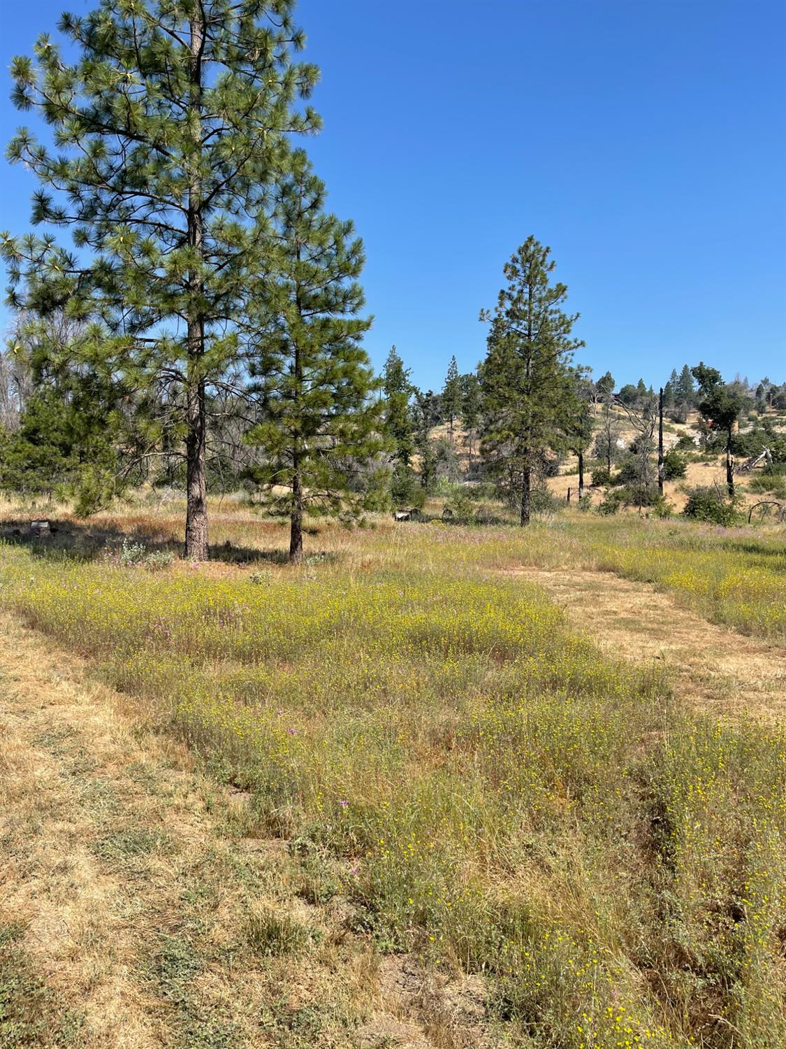 34344 Shaver Springs Rd, Auberry, CA 93602