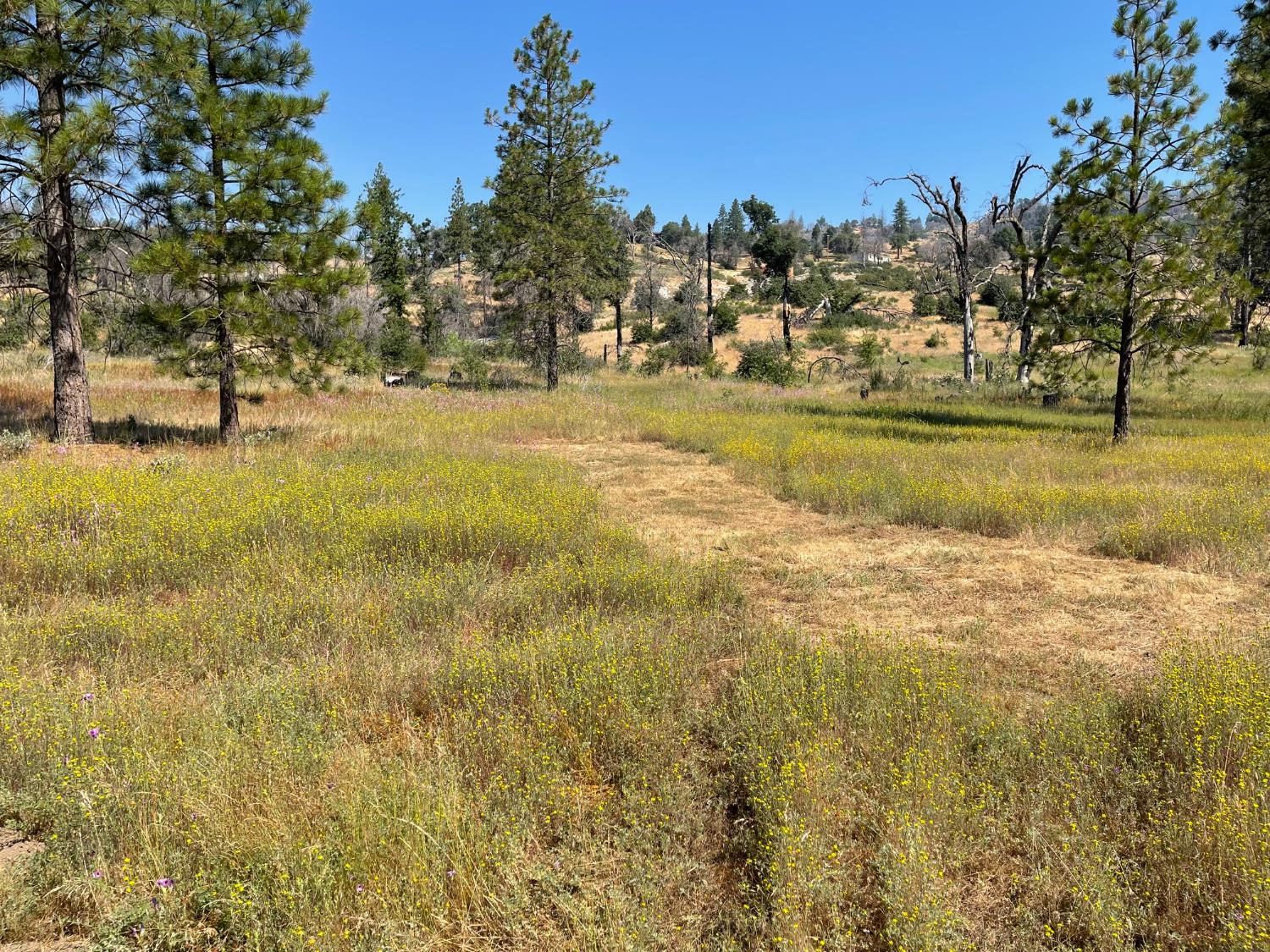 34344 Shaver Springs Rd, Auberry, CA 93602