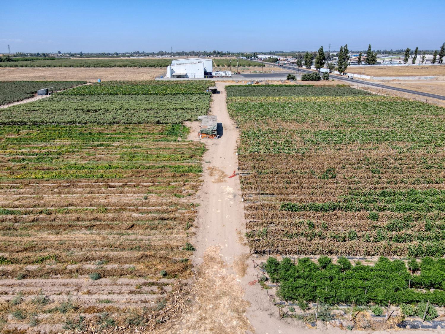 106 W Church Ave, Fresno, CA 93706