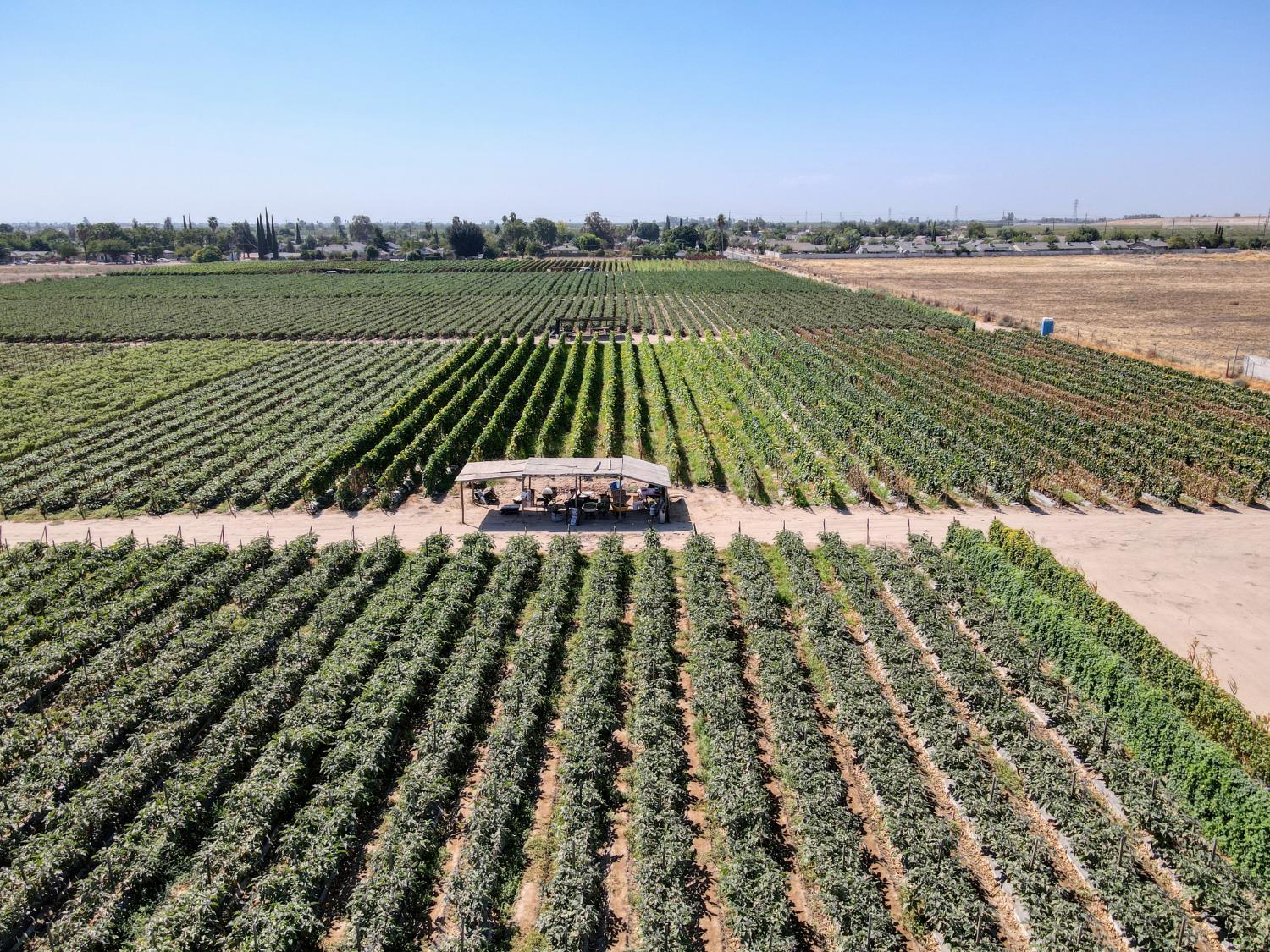 106 W Church Ave, Fresno, CA 93706