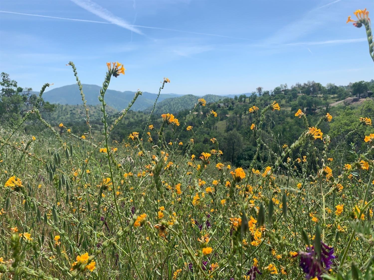 1 APN: 185-350-44S, Yokuts Valley, CA 93675