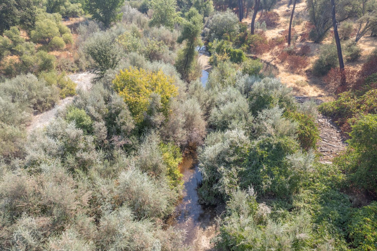 54140 071 Road 400, Coarsegold, CA 93614