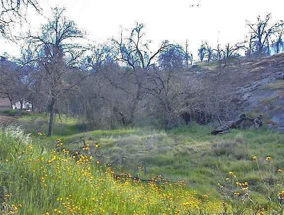 247 Squaw Valley Rd, Yokuts Valley, CA 93675