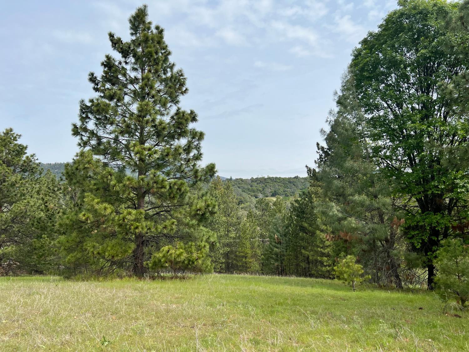 0 0 Watt Rd, Mariposa, CA 95338