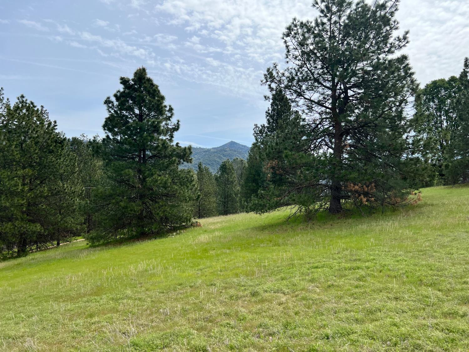 0 0 Watt Rd, Mariposa, CA 95338