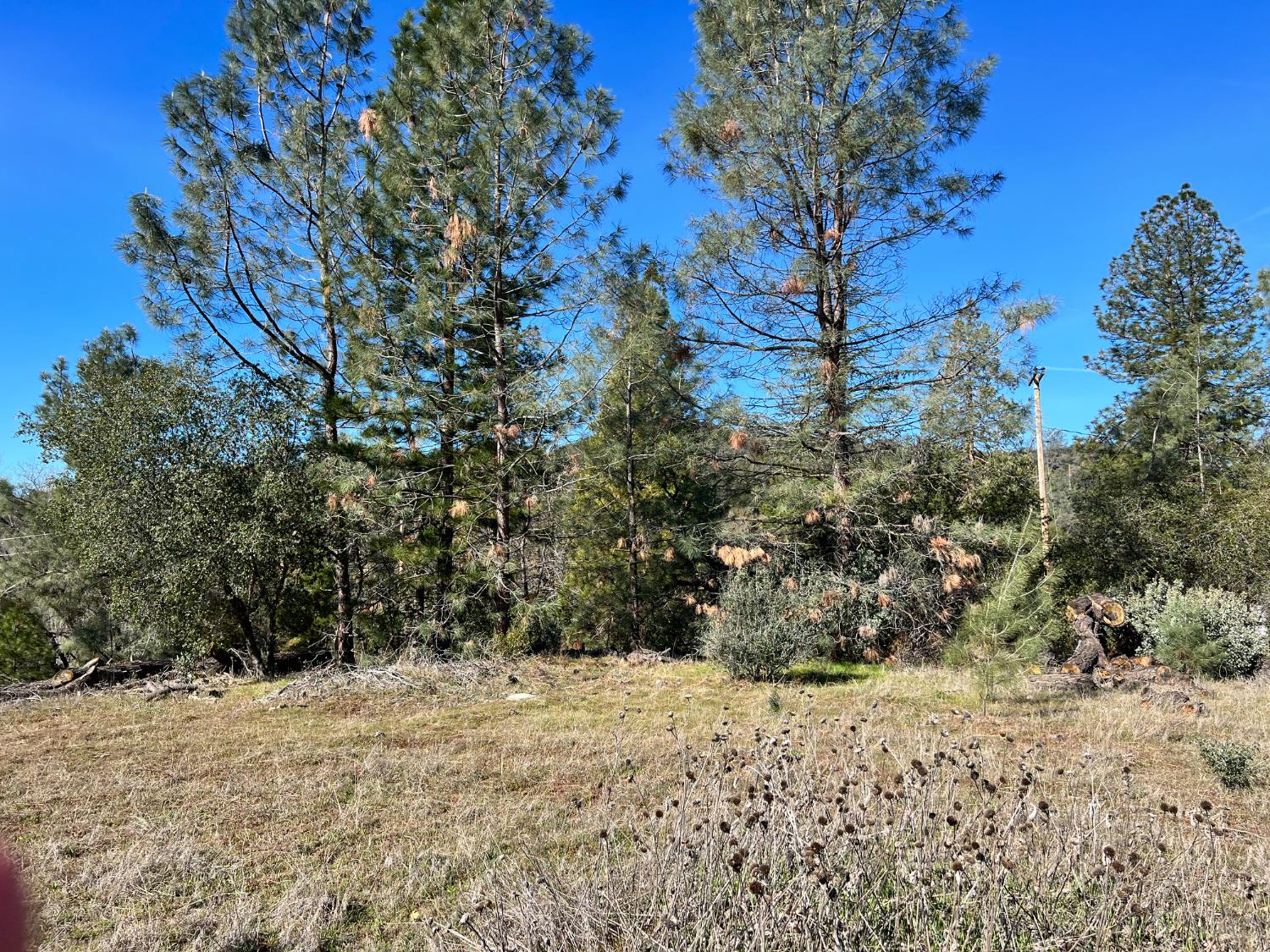 0 0 Watt Rd, Mariposa, CA 95338