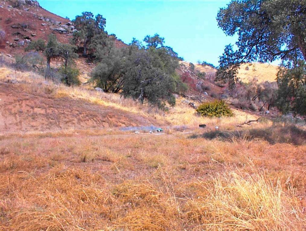 295 Ruth Hill Rd, Yokuts Valley, CA 93675