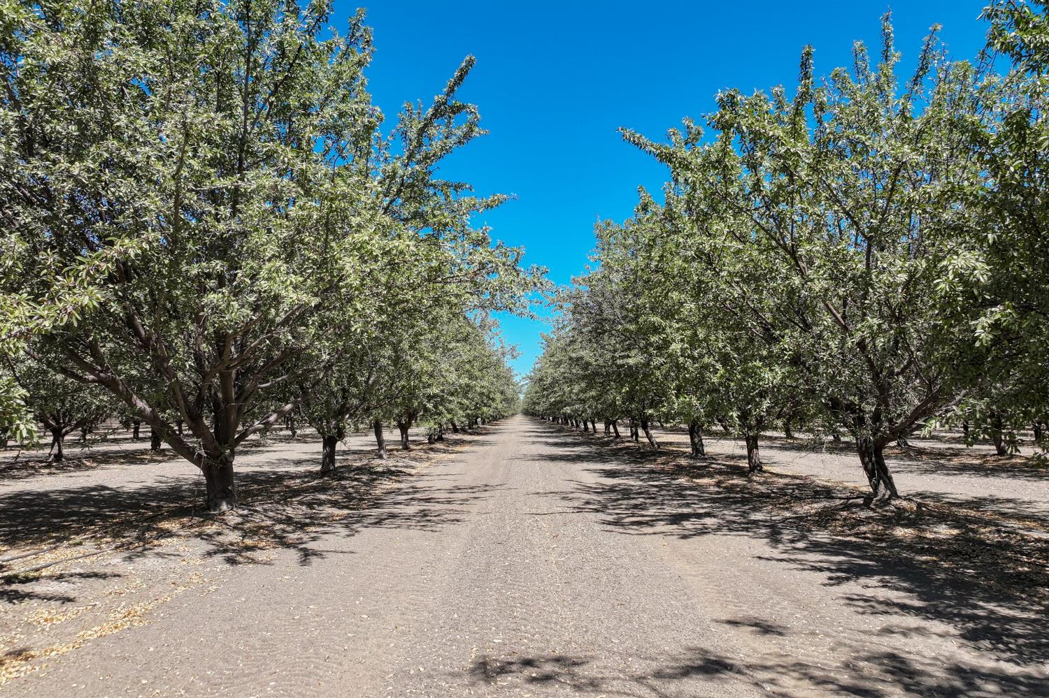 0 0 Hwy 198, Huron, CA 93234