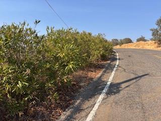 1510 Lilley Mountain, Coarsegold, CA 93614