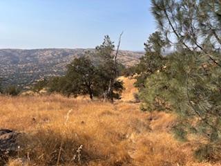 1510 Lilley Mountain, Coarsegold, CA 93614