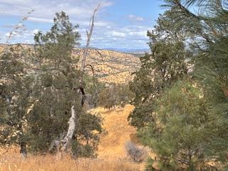 1510 Lilley Mountain, Coarsegold, CA 93614