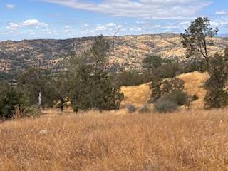 1510 Lilley Mountain, Coarsegold, CA 93614