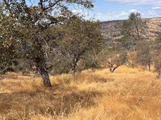 1510 Lilley Mountain, Coarsegold, CA 93614