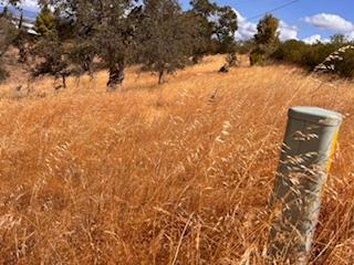 1510 Lilley Mountain, Coarsegold, CA 93614