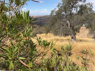 1510 Lilley Mountain, Coarsegold, CA 93614